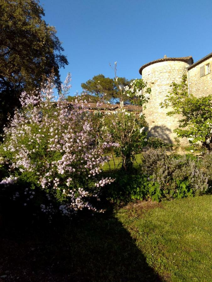 Chateau De Rousson Eksteriør billede